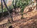 1000011805.webp