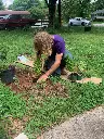 Kevin planting.webp