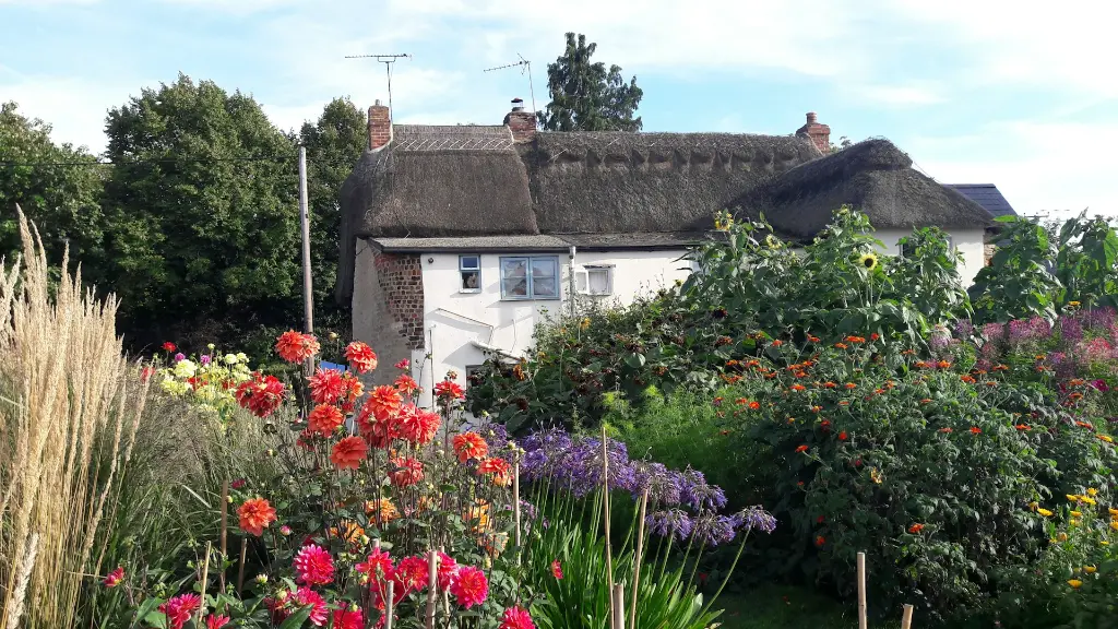 unsplash_jpb5WmzIKGw_cottage garden.webp