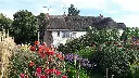 unsplash_jpb5WmzIKGw_cottage garden.webp