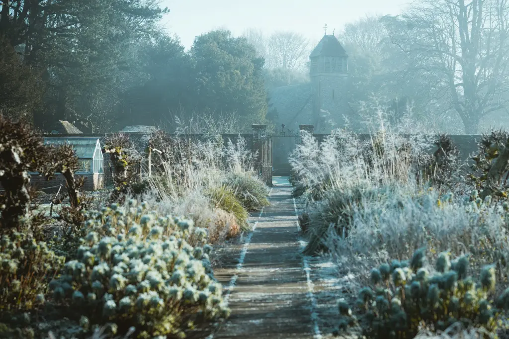 unsplash_xzU0THl_5MY_winter garden.webp