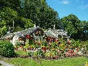 unsplash_N-lK5xhXIug_garden.webp