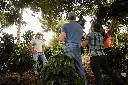unsplash_1IW3SwIAJ0Y_landscape design.jpg.webp