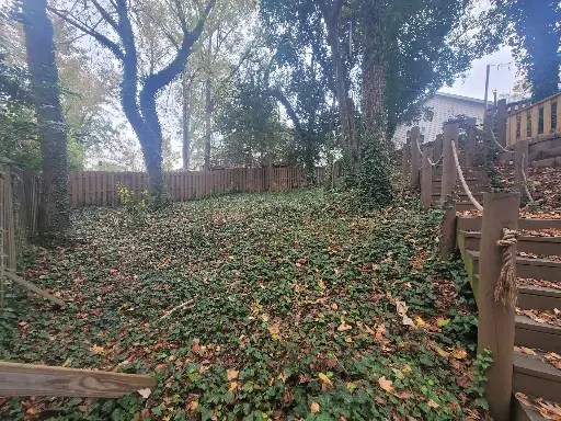 Invasives Assessment